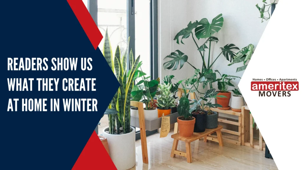 What to Create in Winter